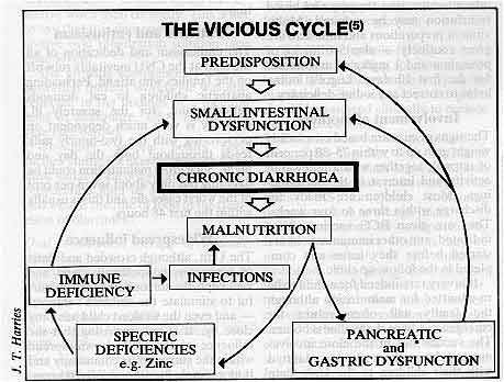 The Vicious Cycle
