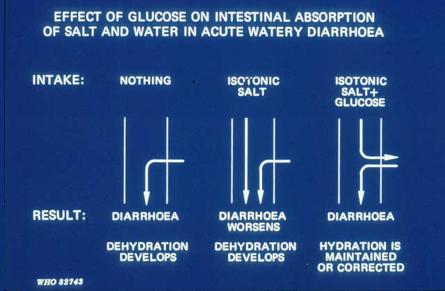 Slide 8 - The importance of the glucose in the solution is shown here.