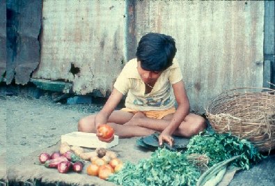 Babu selling vegetables- slide 4  - A Kind of Living