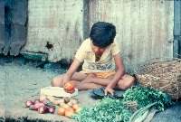 Babu selling vegetables - A Kind of Living - slide 4