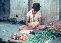 Babu selling vegetables - A Kind of Living - slide 53