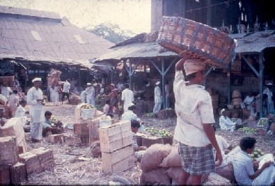 Vegetable vendors at market- slide 66 - A Kind of Living
