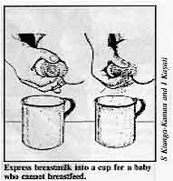 Express breastmilk into a cup for a baby who cannot breastfeed. 