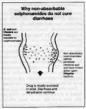 Why non-absorbable sulphonamides do not cure diarrhoea 