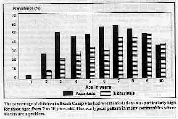 The percentage of children in Beach Camp who had worm infestations was particuiarly high for those aged from 2 to 10 years old. This is a typical pattern in many communities where worms are a problem. 