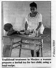 Traditional treatment in Mexico: a woman prepares a herbal tea for her child, using a local recipe.