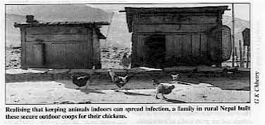 Realising that keeping animals indoors can spread infection, a family in rural Nepal built these secure outdoor coops for their chickens. 