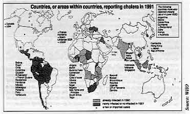 Countries, or areas within countries, reporting cholera in 1991